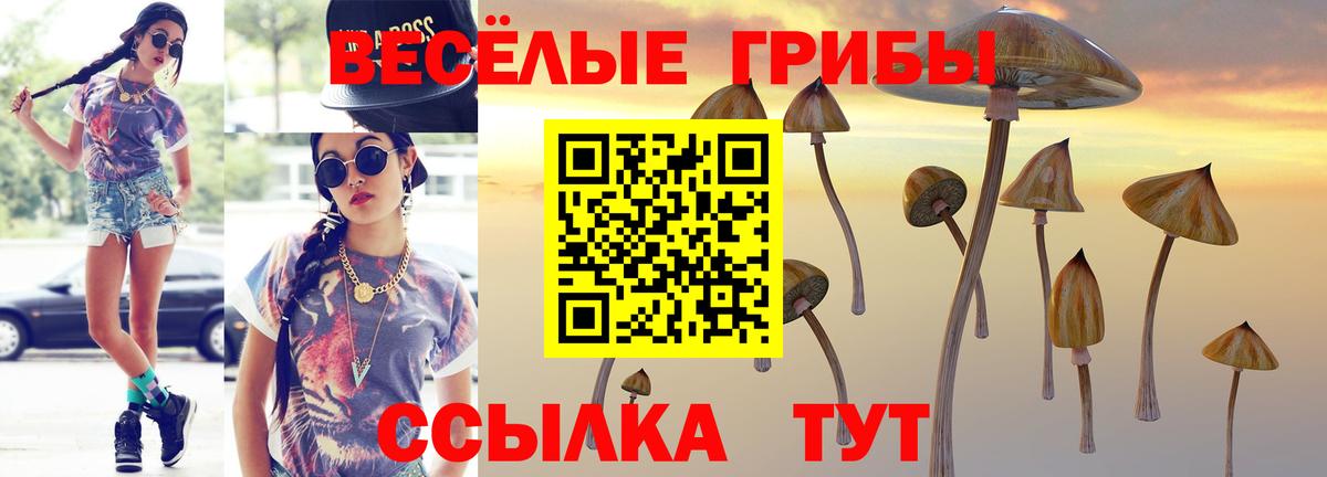 Галлюциногенные грибы Magic Shrooms  Псилоцибиновые грибы GOLDEN TEACHER  Вход с VPN  Лабытнанги 