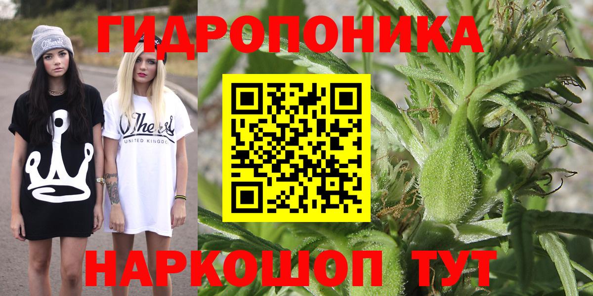 Каннабис OG Kush Лабытнанги